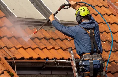 Démoussage et hydrofuge de toiture à Reignac